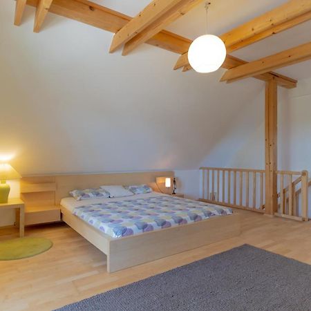 Chalet Haloze Pristava Экстерьер фото
